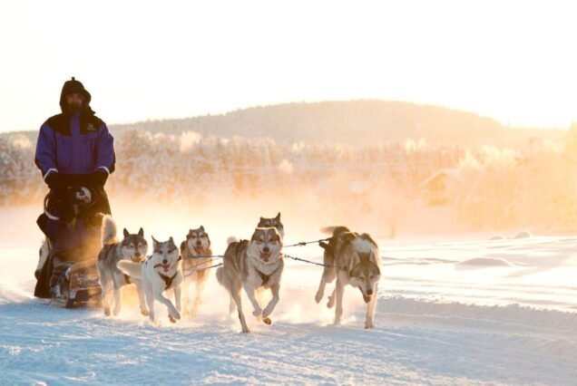 Northern Lights Village Pyhä – Searching for Father Christmas and Snowy Safaris
