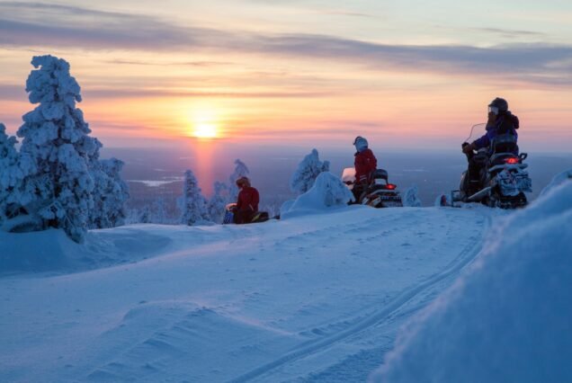 Snowmobile & Dog Sledding Adventure
